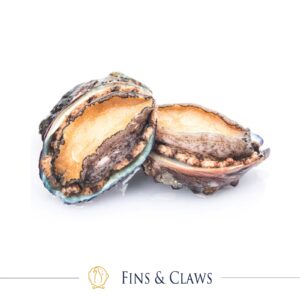 Ezo Awabi - Japanese Ezo Abalone