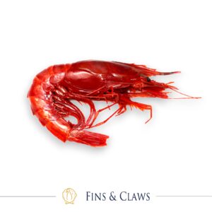 Carabineros - Scarlett Prawn