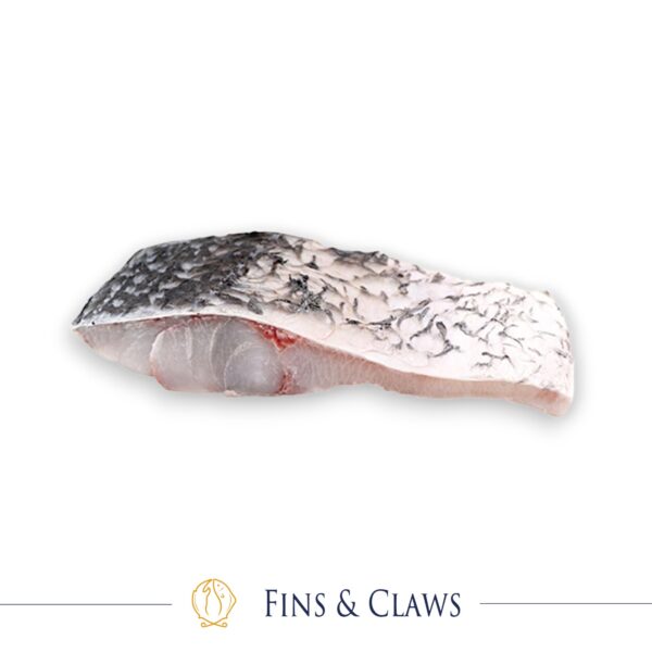 Farm Raised Barramundi Fillet Portion Cut