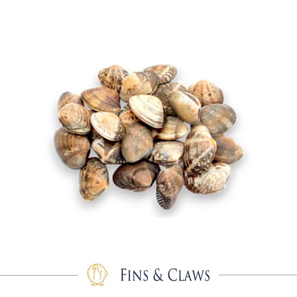 Asari - Japanese Littleneck Clam