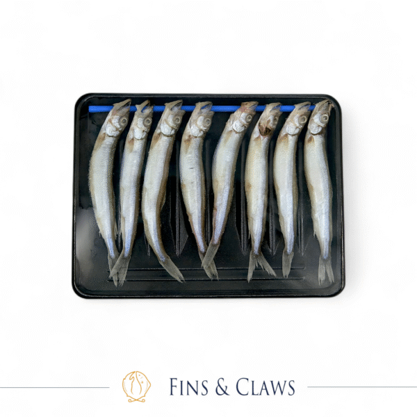 Shishamo - Taiwanese Capelin