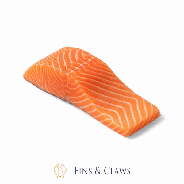 Norwegian Fjord Trout Fillet