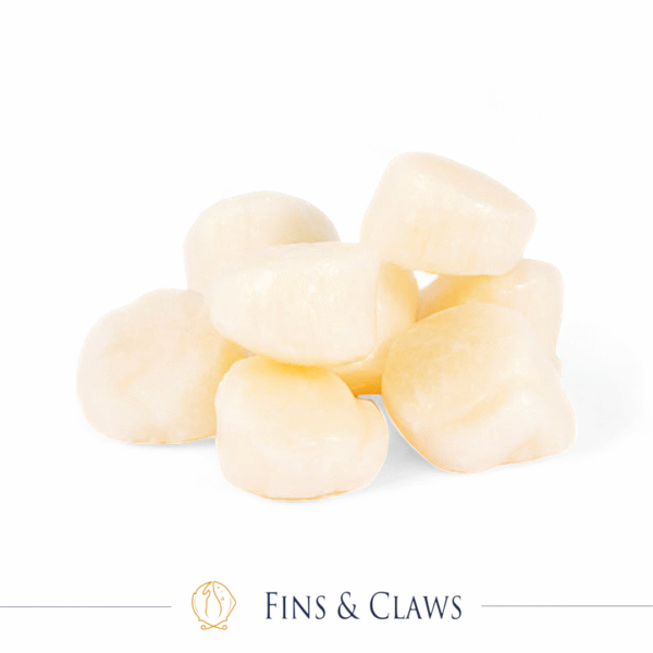 American Sea Scallop Meat