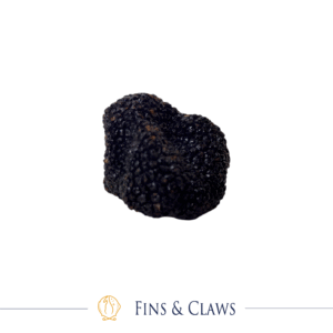 Italian Summer Black Truffle