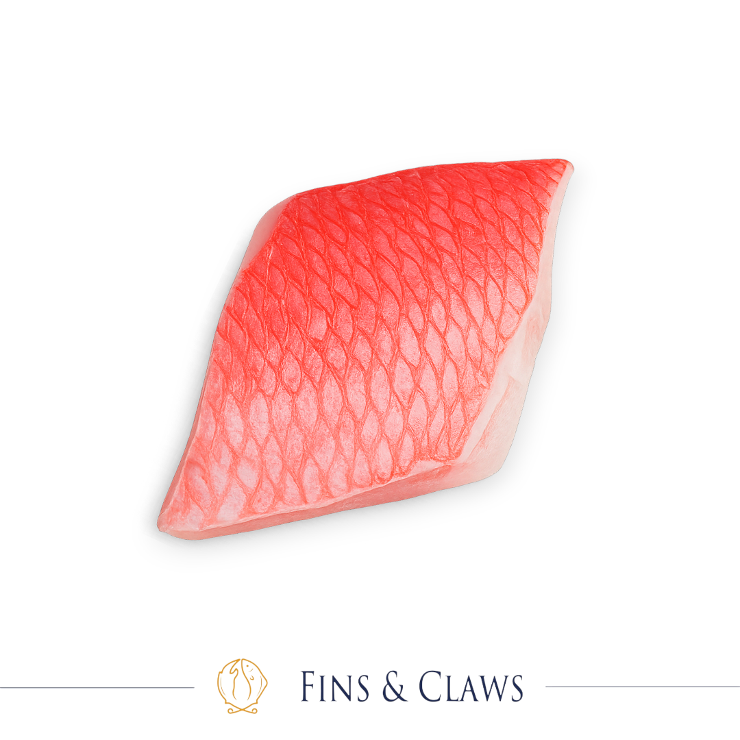 Nanyo Kinmedai / Imperador Fillet