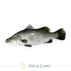 Whole Farm Raised Barramundi