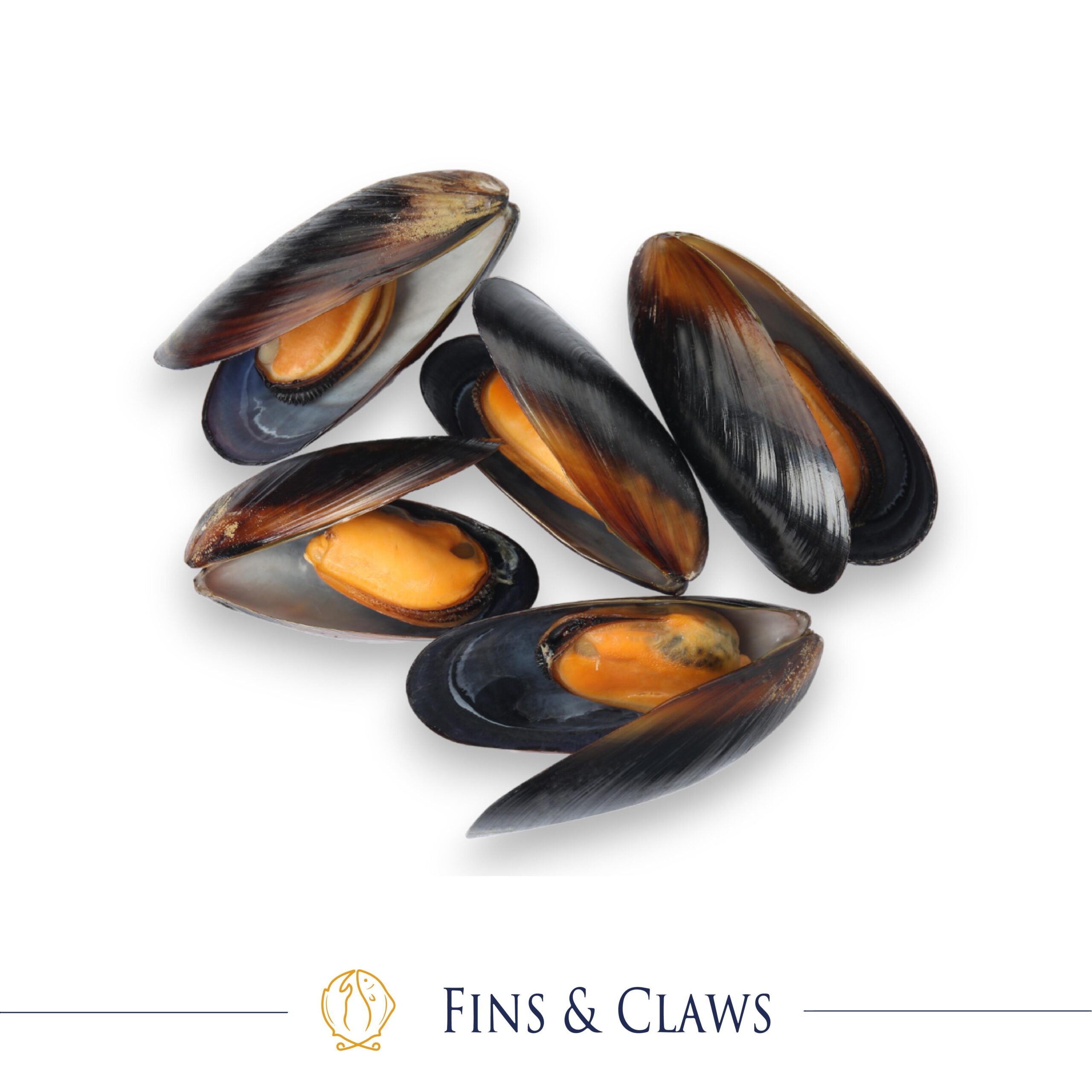 Frozen Chilean Black Mussels - Image 3