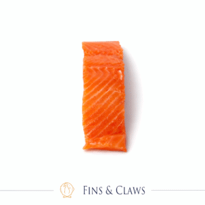 Frozen Chilean Coho Salmon Fillet Portion
