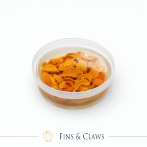 [PRE-ORDER] Kaisui Uni - Sea Urchin in Saltwater
