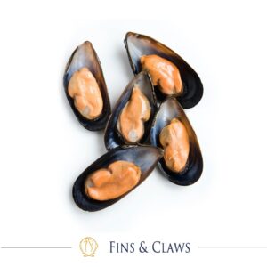 Frozen Chilean Black Mussels