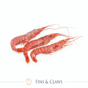 Frozen Argentine Red Shrimp - Aka Ebi