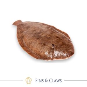 Holland Dover Sole