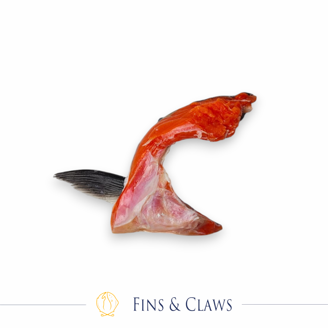 Coho Salmon Collar - Image 2