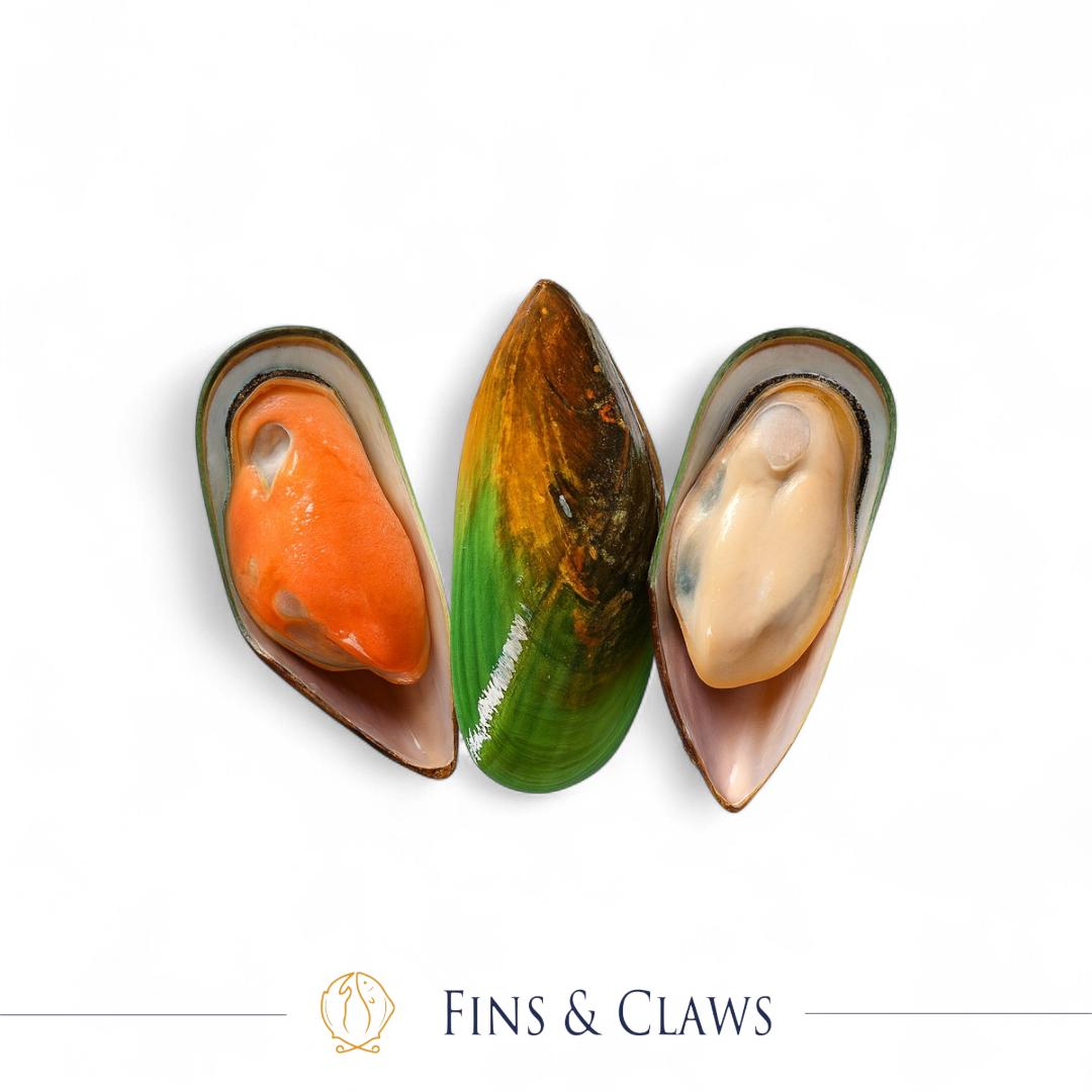Frozen Half Shell New Zealand Green Lipped Mussel