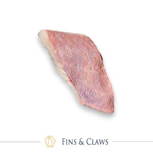 Darwin Roughy Fillet Portion