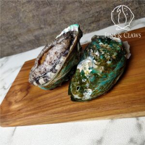 Frozen Japanese Ezo Abalone - Ezo Awabi