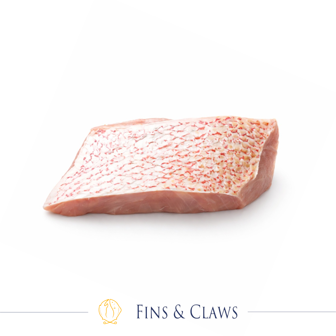 Red Snapper Fillet Portion - Kakap Merah - Image 2