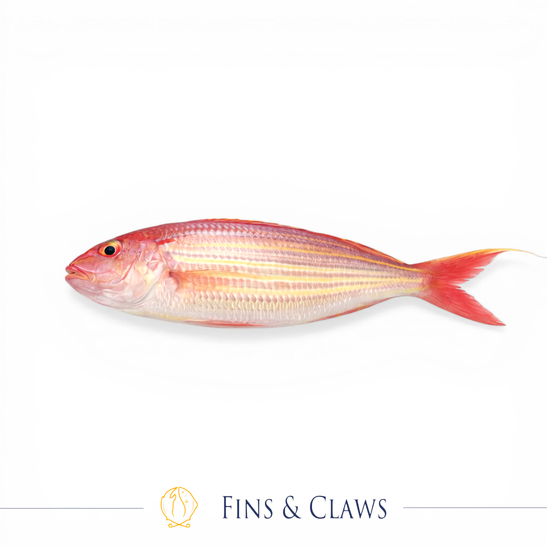 Whole Golden Threadfin Bream - Itoyori