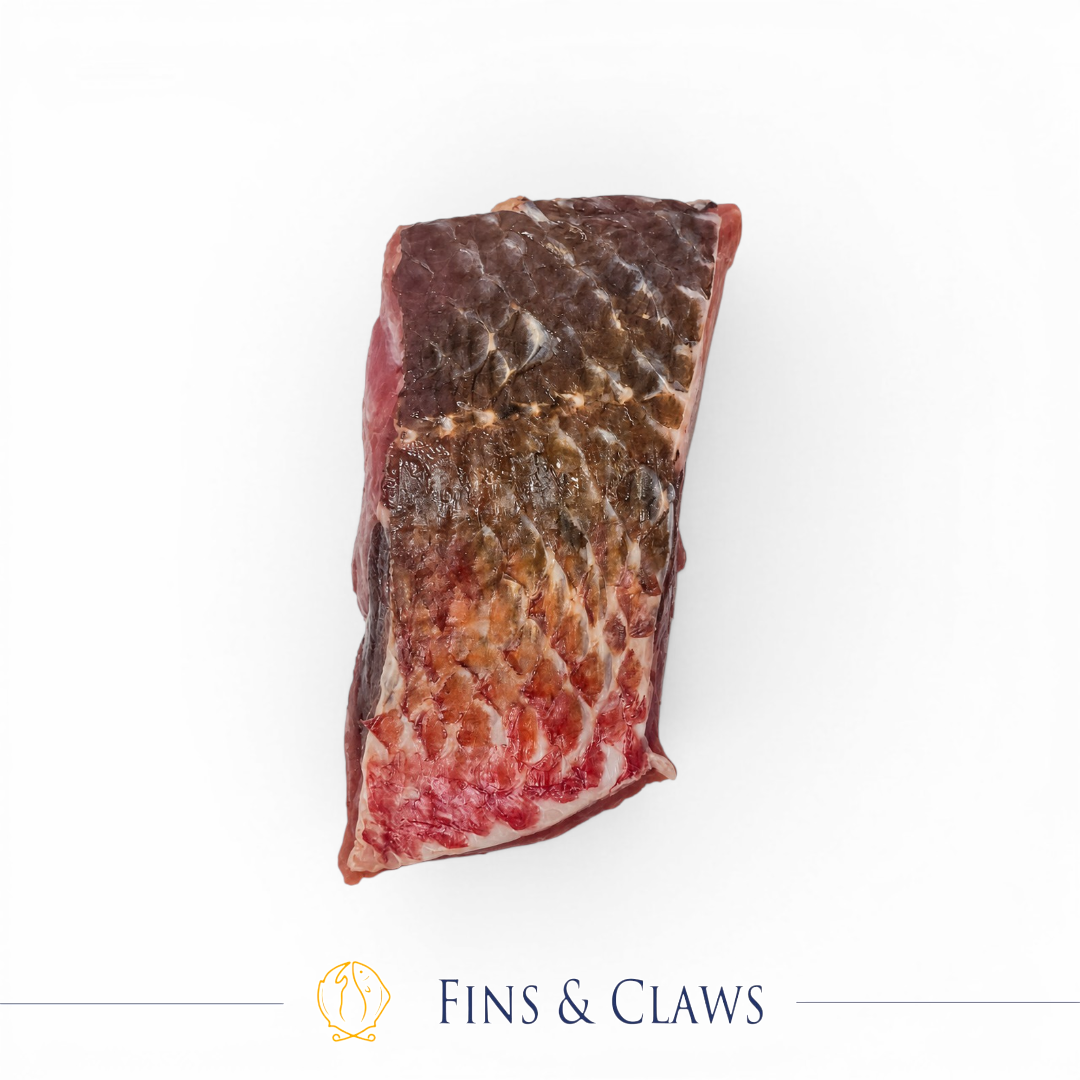 Japanese Rubyfish Fillet Portion - Hachibiki - Image 3