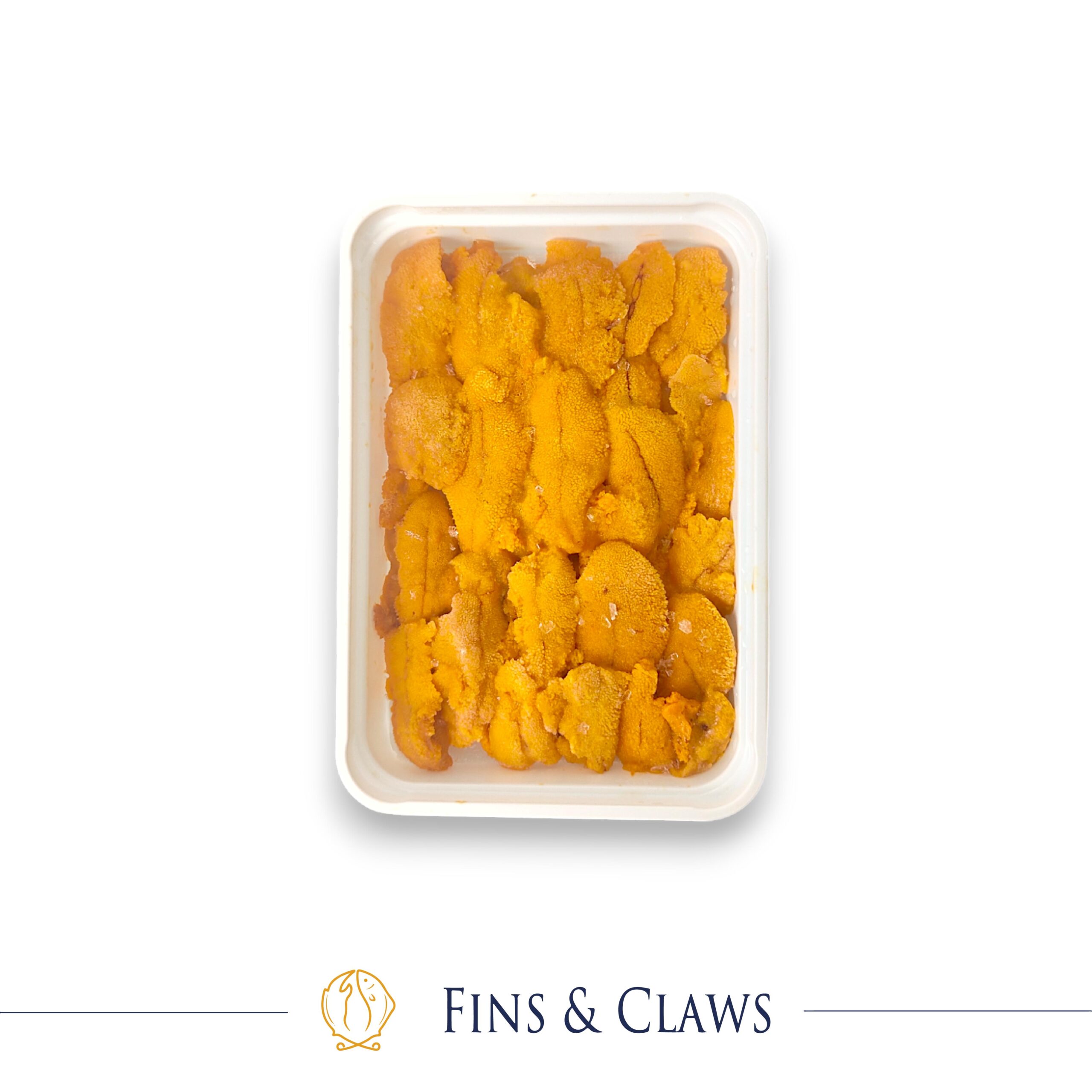 Frozen Chilean Sea Urchin Roe - Chilean Uni
