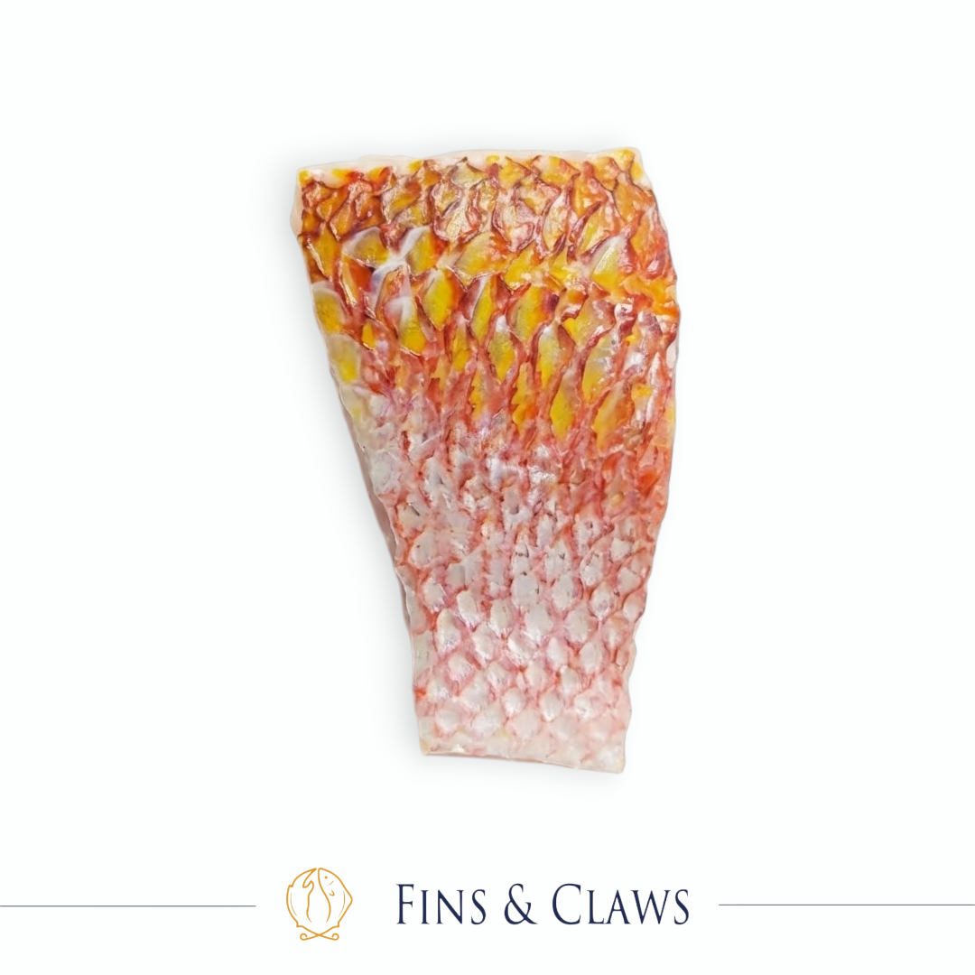 Ruby Snapper Fillet Portion - Ehu - Image 3