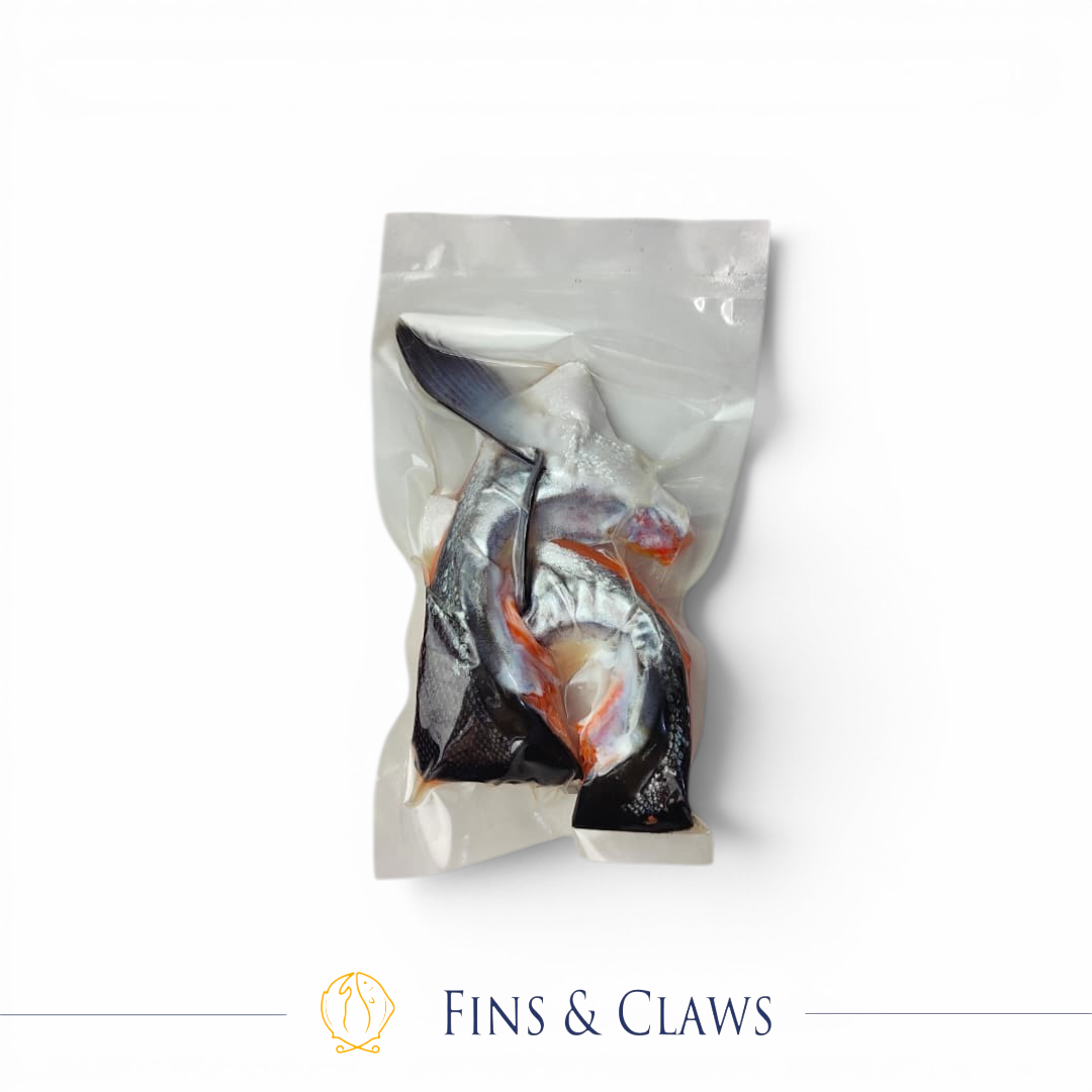 Coho Salmon Collar - Image 3