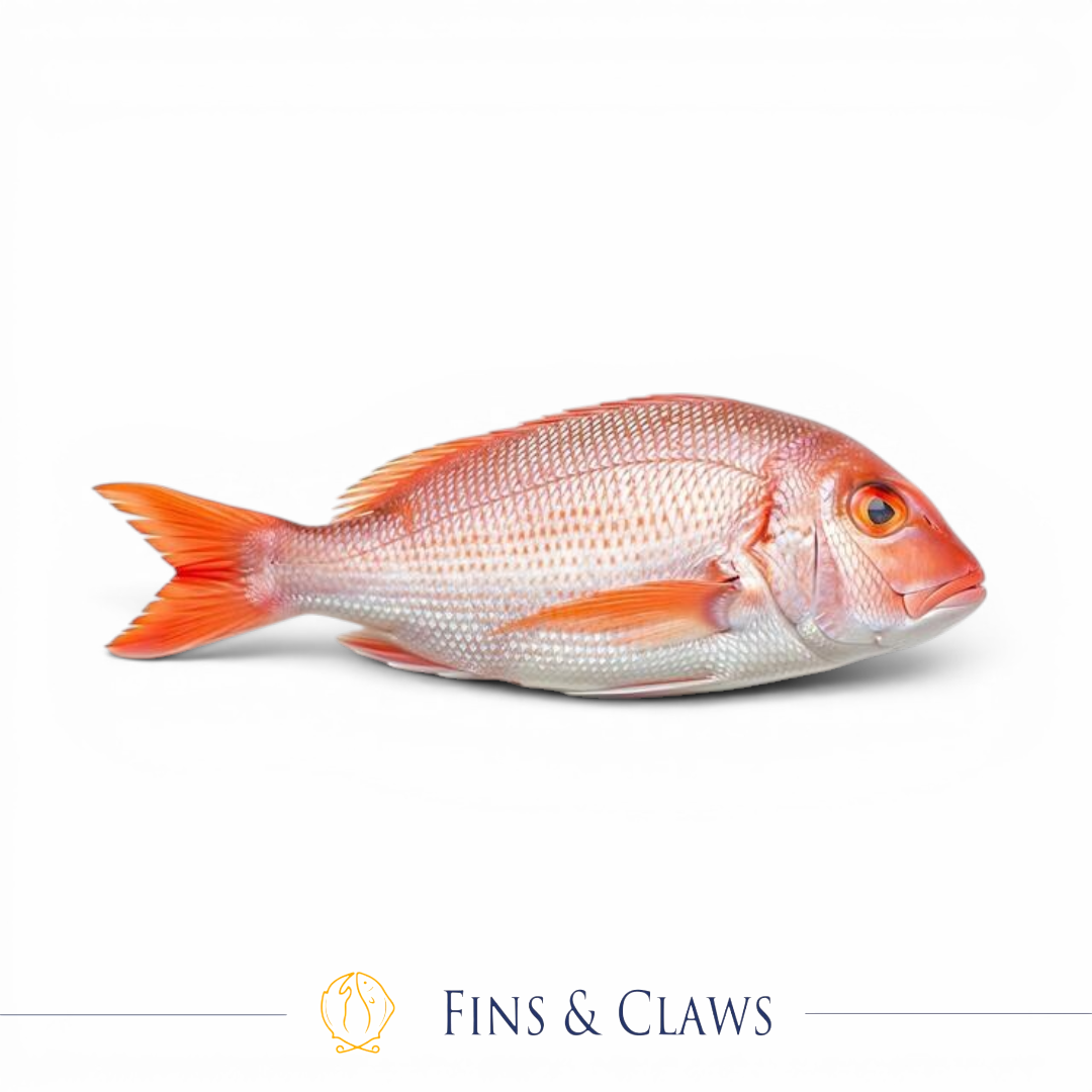 Whole Pacific Red Sea Bream
