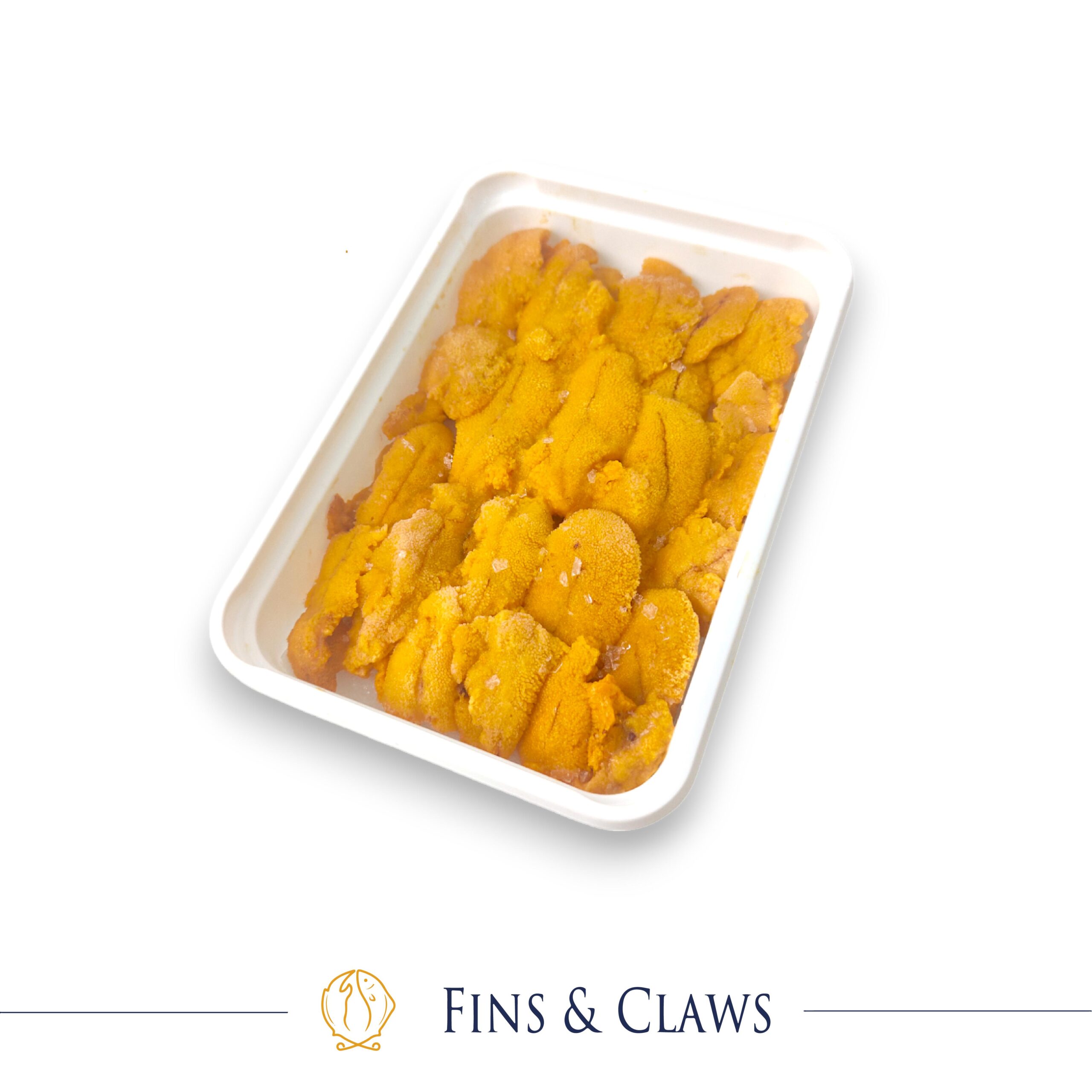 Frozen Chilean Sea Urchin Roe - Chilean Uni - Image 2