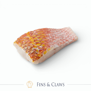 Ruby Snapper Fillet Portion - Ehu