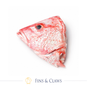 Red Snapper Head - Kepala Kakap Merah