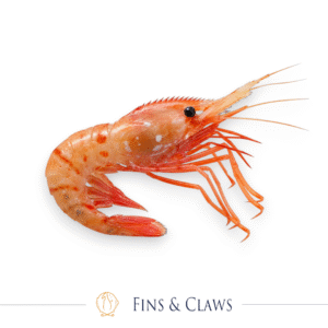 Frozen Japanese Botan Shrimp - Botan Ebi