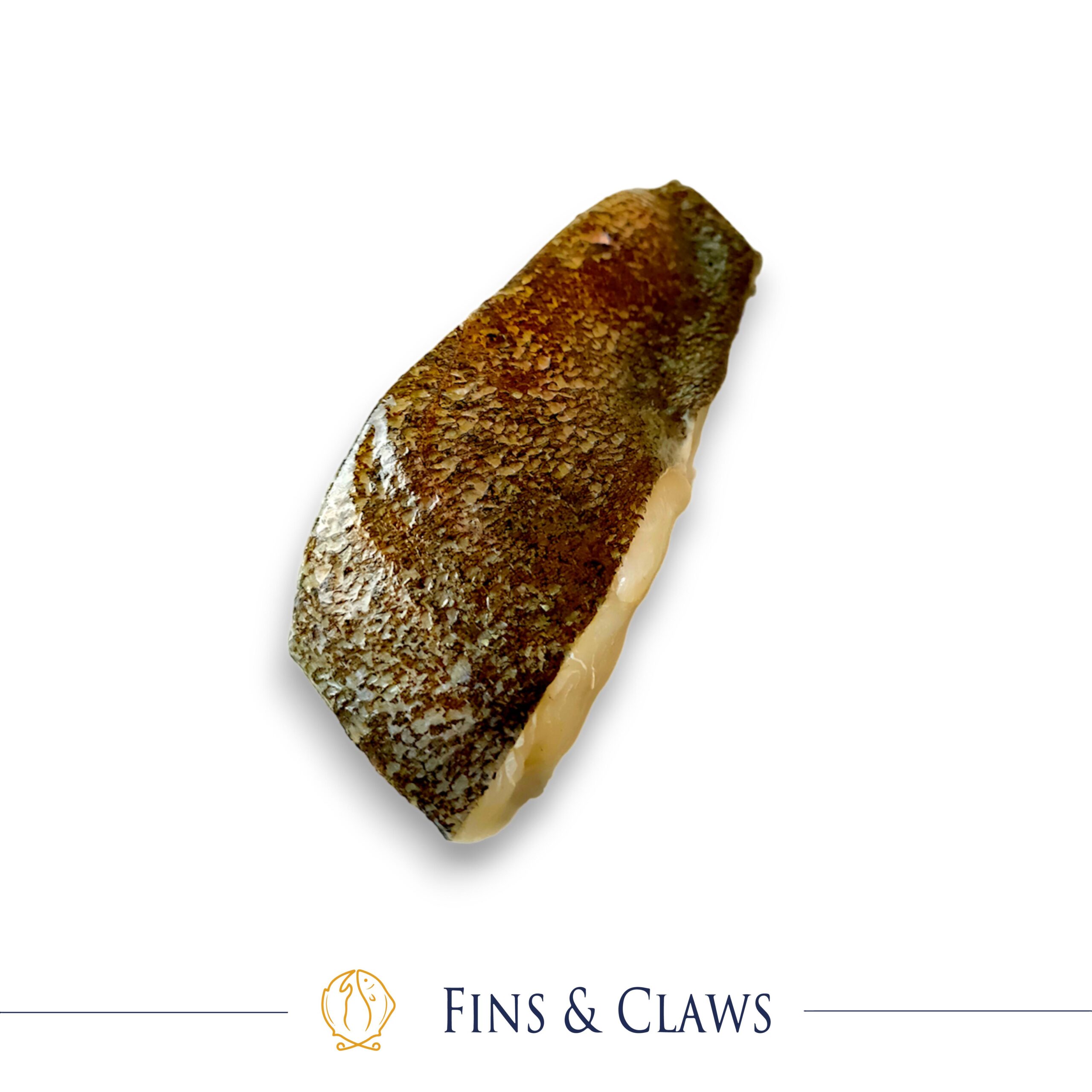 Japanese Olive Flounder Fillet Portion - Hirame