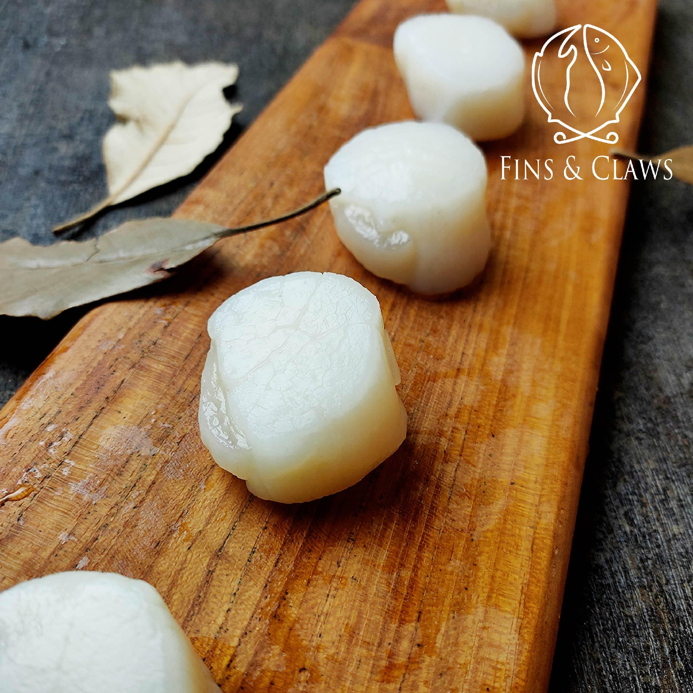 US Scallop Meat - Image 4