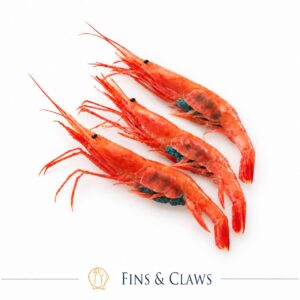 Frozen Japanese Sweet Shrimp - Ama Ebi
