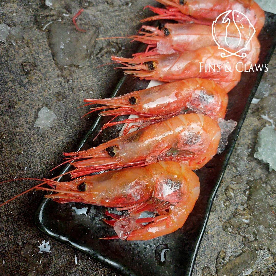 Frozen Japanese Sweet Shrimp - Ama Ebi - Image 6