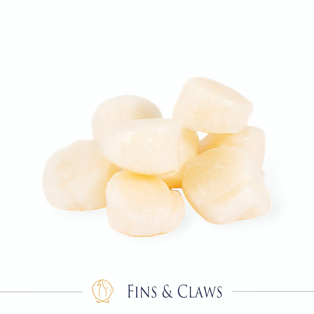 US Scallop Meat