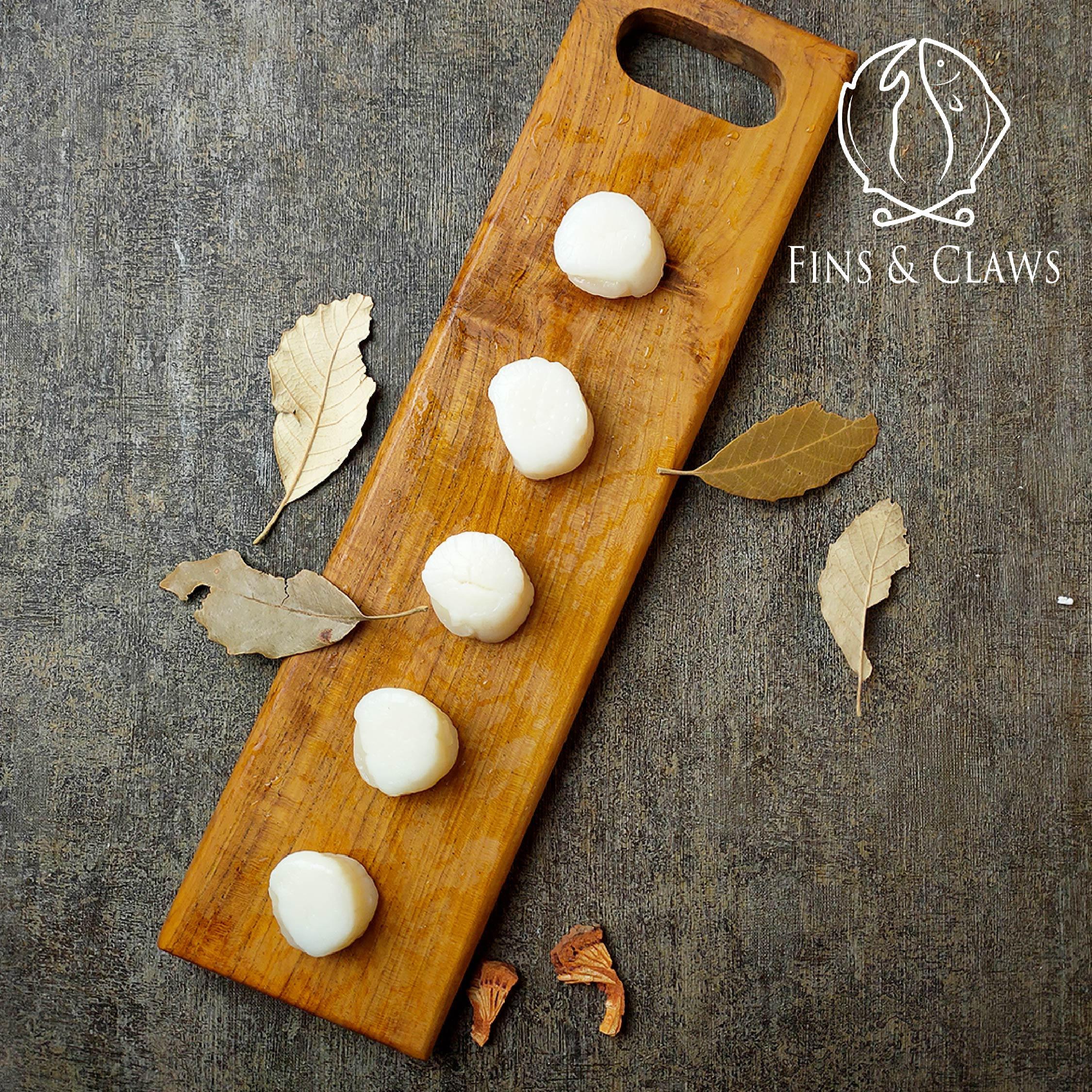US Scallop Meat - Image 2