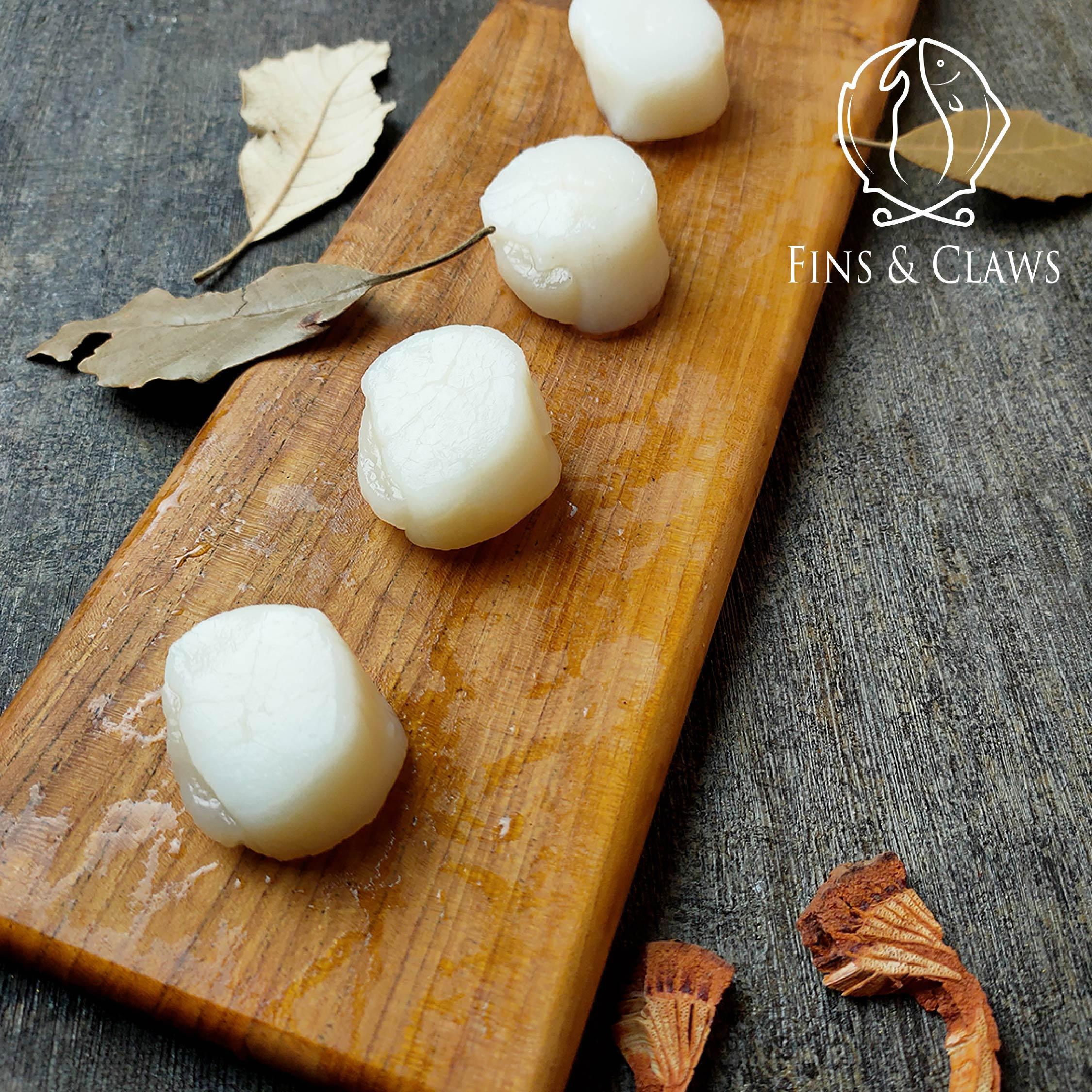 US Scallop Meat - Image 3