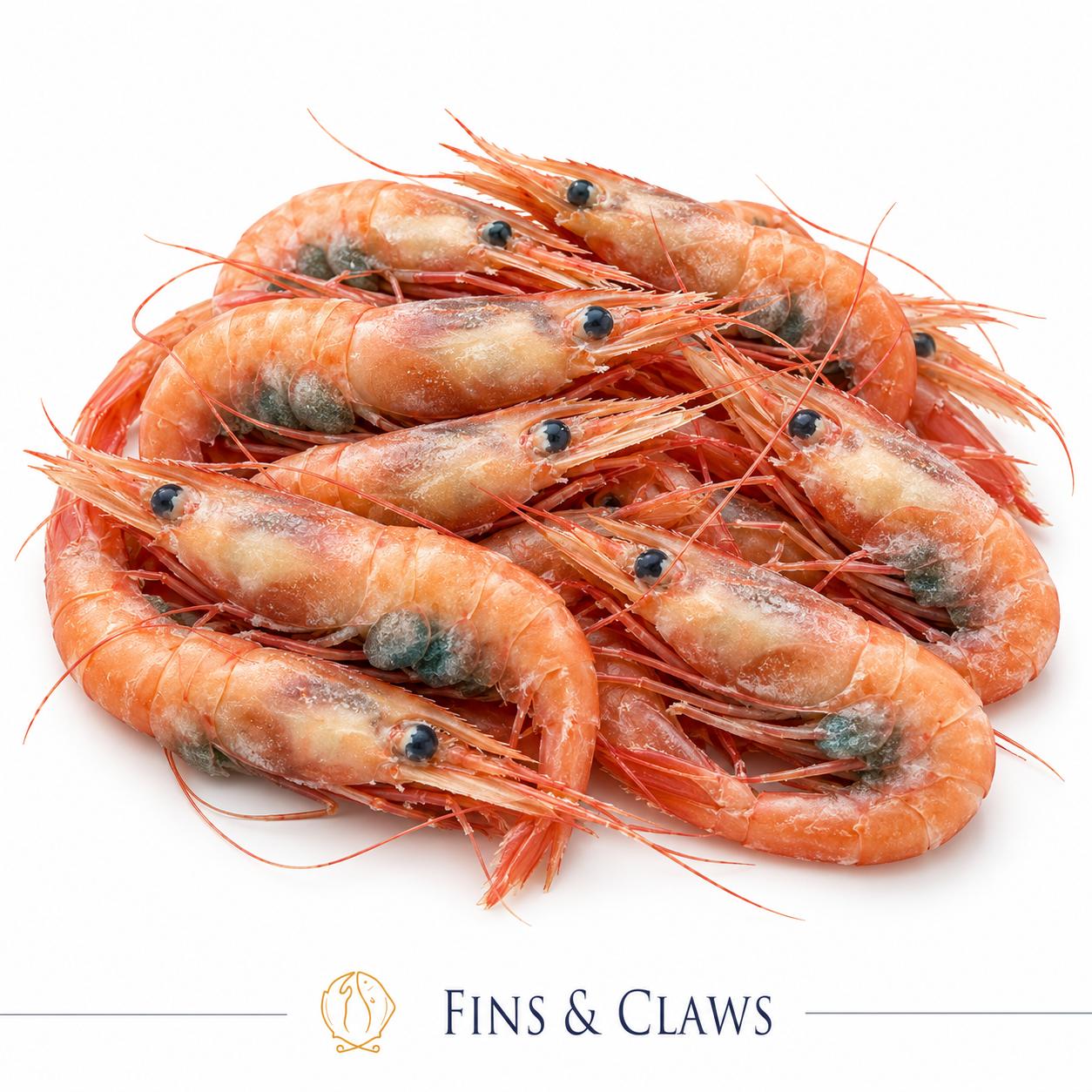 Frozen Japanese Sweet Shrimp - Ama Ebi - Image 4