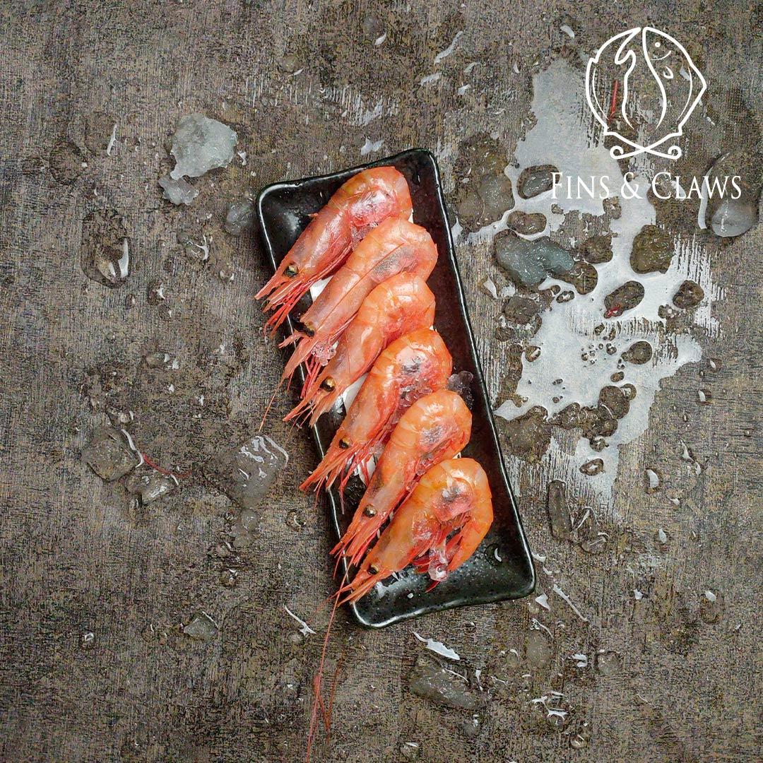 Frozen Japanese Sweet Shrimp - Ama Ebi - Image 8